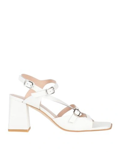 Shop Zinda Woman Sandals White Size 8 Leather
