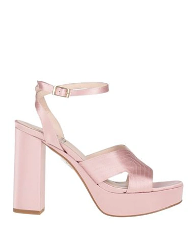 Shop Marian Woman Sandals Blush Size 8 Textile Fibers In Pink