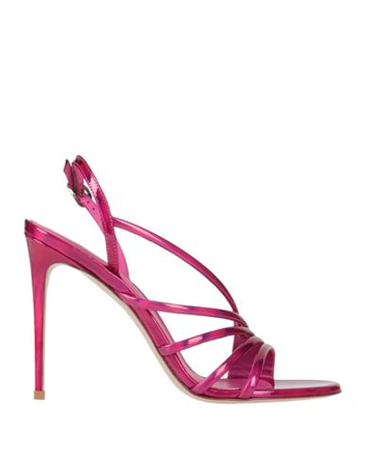 Shop Le Silla Woman Sandals Fuchsia Size 8 Leather In Pink