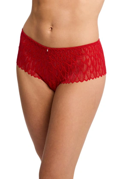 Shop Montelle Intimates Feather Lace Brazilian Briefs In Sweet Red