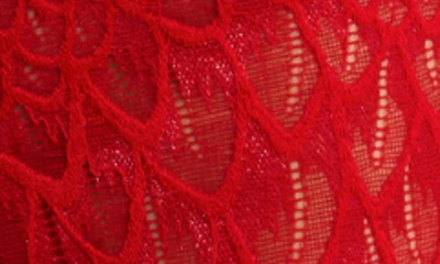 Montelle Intimates Feather Lace Brazilian Briefs In Sweet Red
