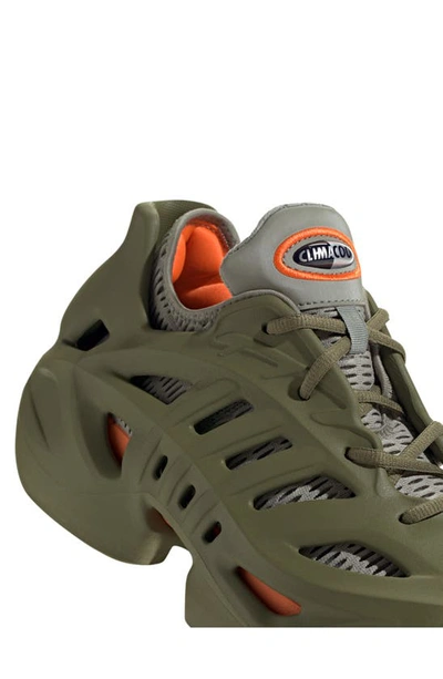 Shop Adidas Originals Adifom Climacool® Sneaker In Olive/ Pebble/ Impact Orange