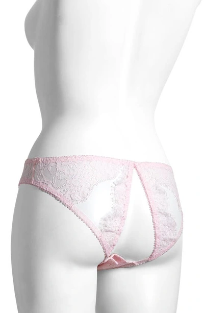 Shop Von Follies By Dita Von Teese Seduca Eyelash Lace Open Back Bikini In Cameo Pink