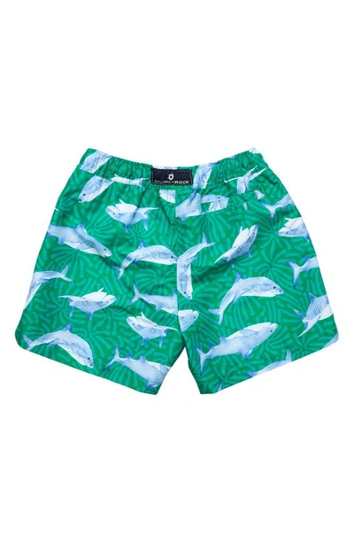 Shop Snapper Rock Kids' Reef Shark Swim Trunks In Green