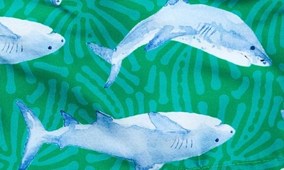 Shop Snapper Rock Kids' Reef Shark Swim Trunks In Green