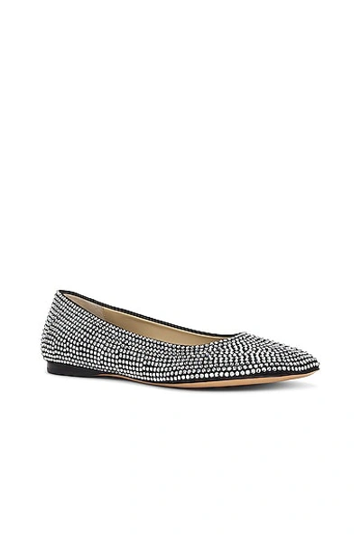 Loewe Toy Crystal-embellished Suede Ballet Flats In Black
