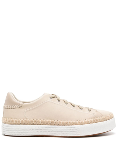 Shop Chloé Neutral Telma Leather Sneakers In Neutrals