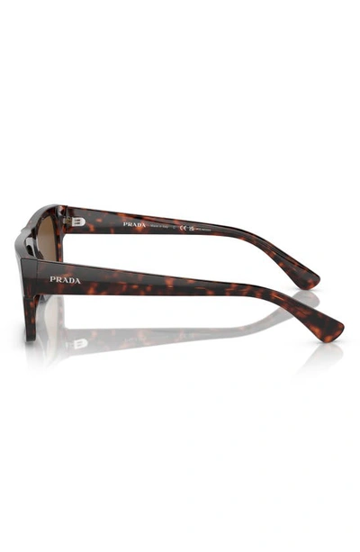Prada Tortoiseshell Acetate Rectangular Sunglasses In Havana