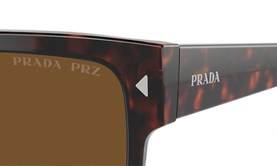 Prada Tortoiseshell Acetate Rectangular Sunglasses In Havana