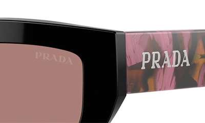 Shop Prada 53mm Butterfly Sunglasses In Lite Brown