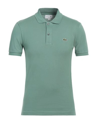 Shop Lacoste Man Polo Shirt Sage Green Size 3 Cotton, Elastane