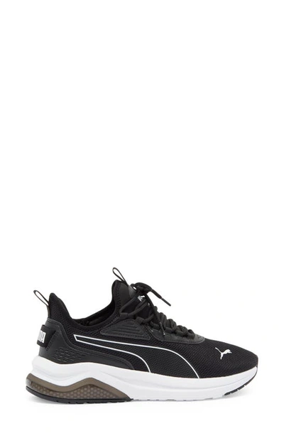 Puma Amplifier Sneaker In  Black- White