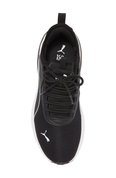 Puma Amplifier Sneaker In  Black- White