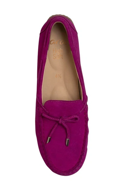 Shop Ara Amarillo Leather Driving Shoe In Pink