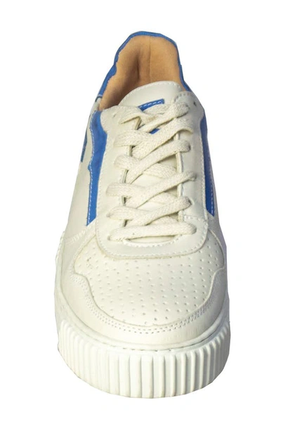 Shop Sandro Moscoloni Marian Platform Sneaker In White Ivory/ Blue