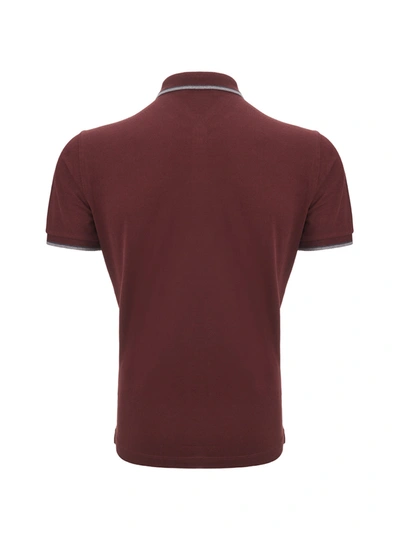 Shop Dolce & Gabbana Bordeaux Cotton Polo Shirt With Crown Men's Embroidery