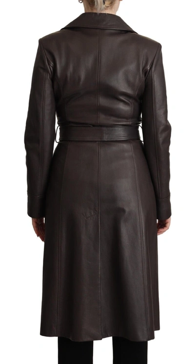 Dolce & Gabbana Dark Brown Leather Long Sleeves Belted Jacket In Brown