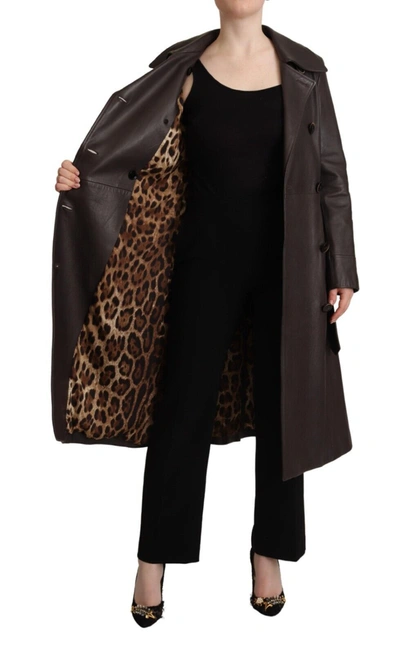 Dolce & Gabbana Dark Brown Leather Long Sleeves Belted Jacket In Brown