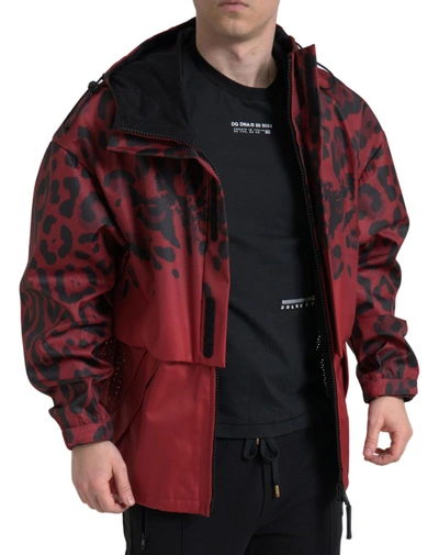 Shop Dolce & Gabbana Radiant Red Leopard Print Hooded Men's Jacket