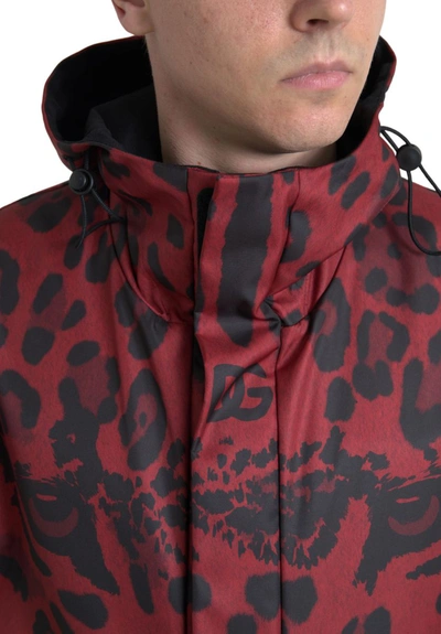 Shop Dolce & Gabbana Radiant Red Leopard Print Hooded Men's Jacket