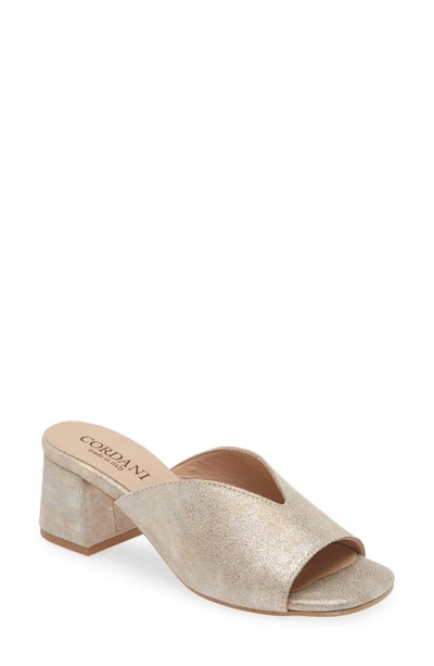 Shop Cordani Pollie Slide Sandal In Granito Corda