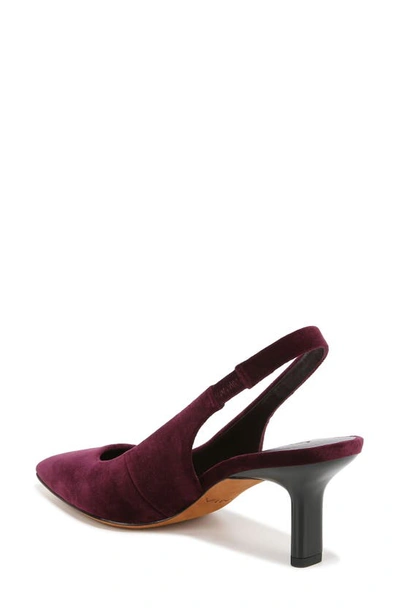 Shop Vince Patrice Pointed Toe Slingback Pump In Plumwine