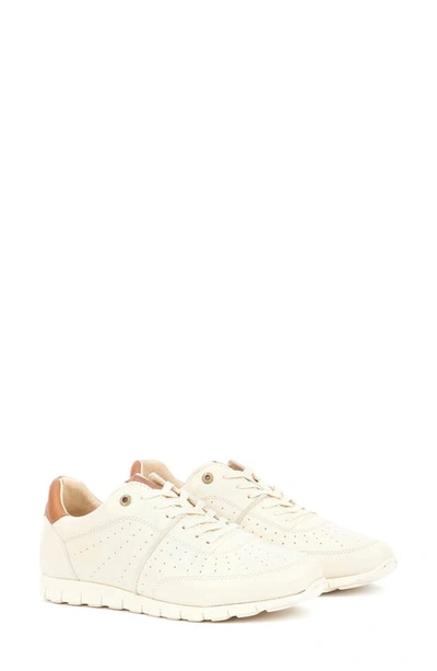 Shop Barbour Asha Sneaker In Off White