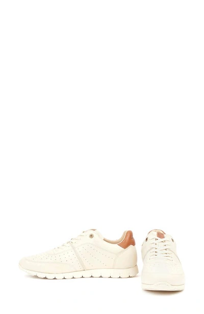 Shop Barbour Asha Sneaker In Off White