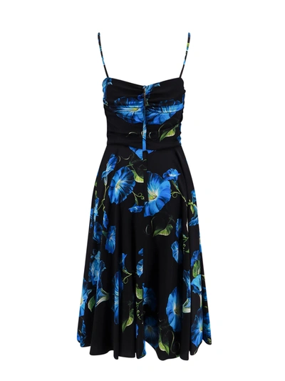 Shop Dolce & Gabbana Silk Dress With Bluebell Print