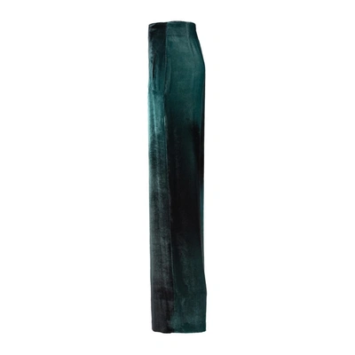 Shop Alberta Ferretti Green Print Velvet Pants