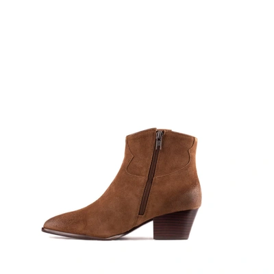 Shop Ash Brown Ankle Boot