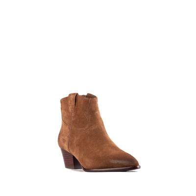 Shop Ash Brown Ankle Boot