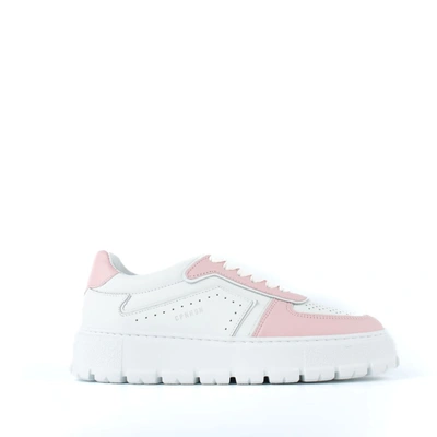 Shop Copenhagen Two-tone Leather Sneakers Pink Details In White, Pink