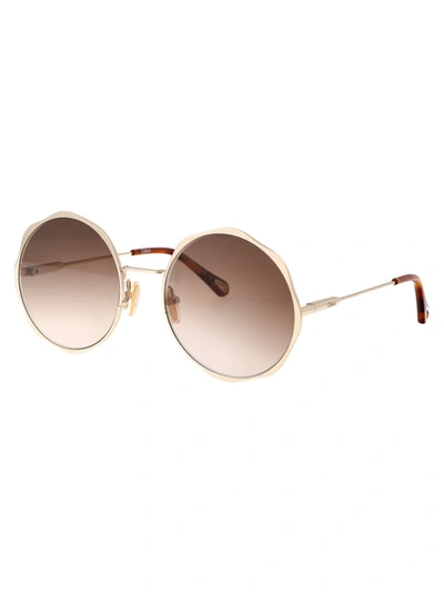 Shop Chloé Chloe Sunglasses In 002 Gold Gold Brown