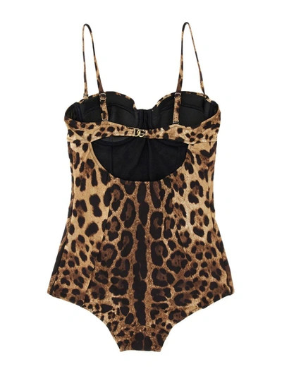 Shop Dolce & Gabbana Animalier One-piece Swimsuit In Multicolour