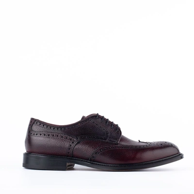 Shop Migliore Blueberry Leather Dovetail Lace-up In Bordeaux
