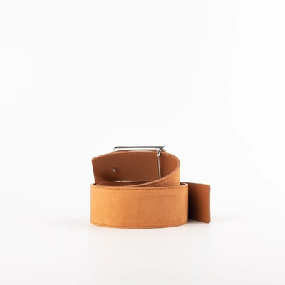Shop Orciani Amber-colored Belt In Brown