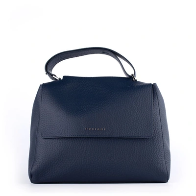 Shop Orciani Sveva Medium Blue Leather Shoulder Bag