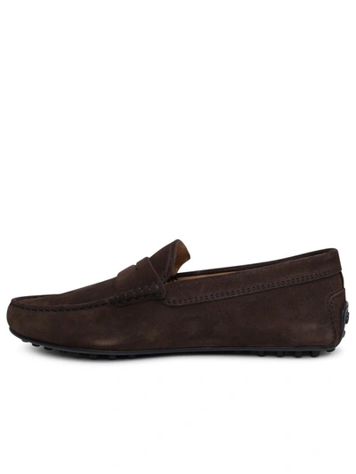 Shop Tod's Mocassino City In Brown