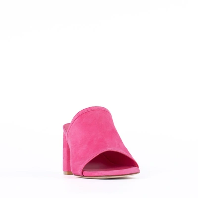 Shop Stuart Weitzman Fuchsia Leather Wedge Slipper In Pink