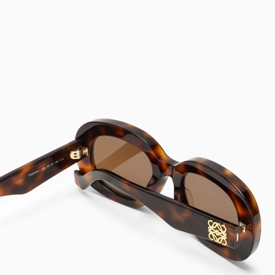 Shop Loewe Oversize Tortoiseshell Sunglasses Women In Brown