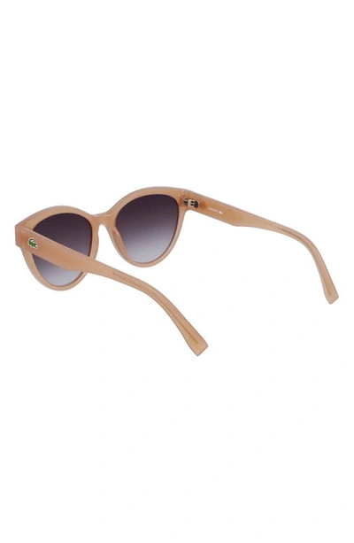 Shop Lacoste 55mm Gradient Cat Eye Sunglasses In Beige