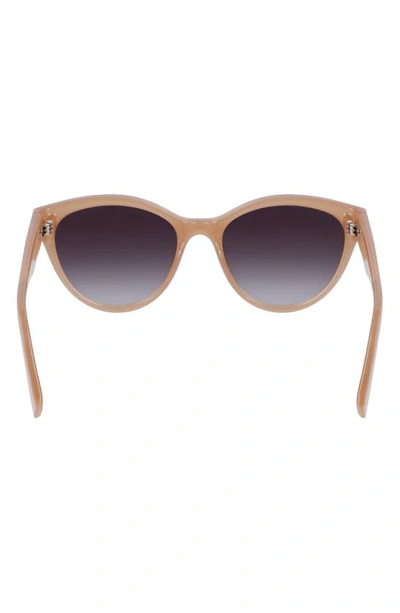 Shop Lacoste 55mm Gradient Cat Eye Sunglasses In Beige
