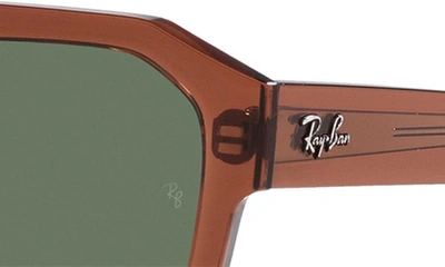 Ray Ban Corrigan Irregular 54mm Rectangular Sunglasses In Transparent Brown