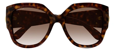 Shop Gucci Gg1407s 003 Butterfly Sunglasses In Brown