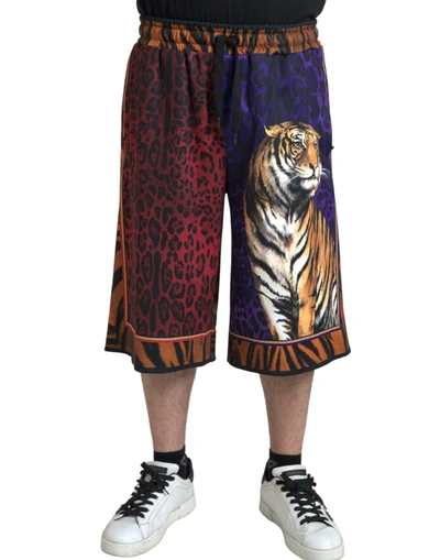 Shop Dolce & Gabbana Multicolor Tiger Print Men Bermuda Shorts