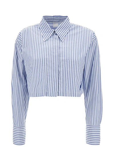 Shop Pinko Light Blue Cropped Striped Shirt With Two Patch Pockets In Cotton Blend Woman