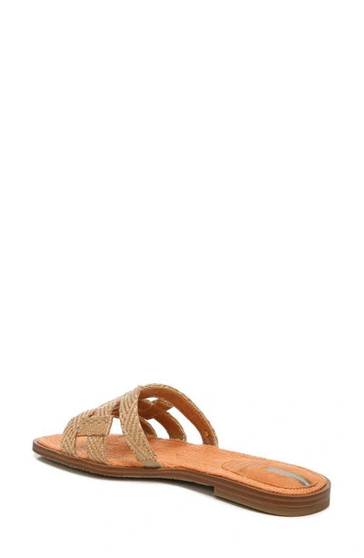Shop Sam Edelman Woven Bay Slide Sandal In Natural/ Sunset Orange