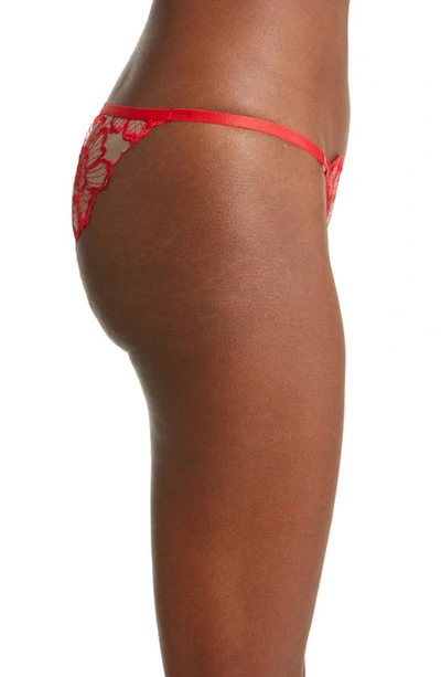 Shop Bluebella Catalina Embroidered Mesh Briefs In Tomato Red/ Sheer