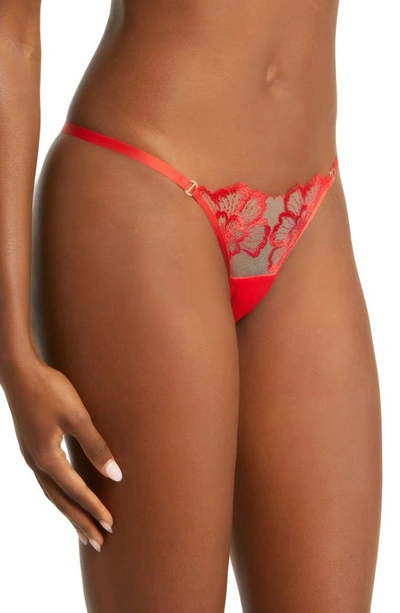 Shop Bluebella Catalina Embroidered Mesh Thong In Tomato Red/ Sheer